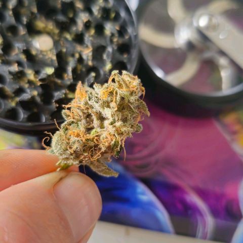 Poison 3 T.P.3 growlog photo: Gouté. 
Incroyable gout, 1er pensé, l'odeur, 2eme le gout de raison. Prend un peu la gorge mais très très savoureuse. 