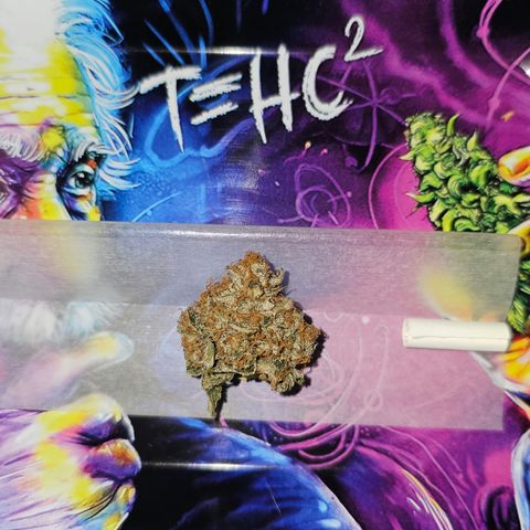 Poison 3 T.P.3 growlog timeline photo