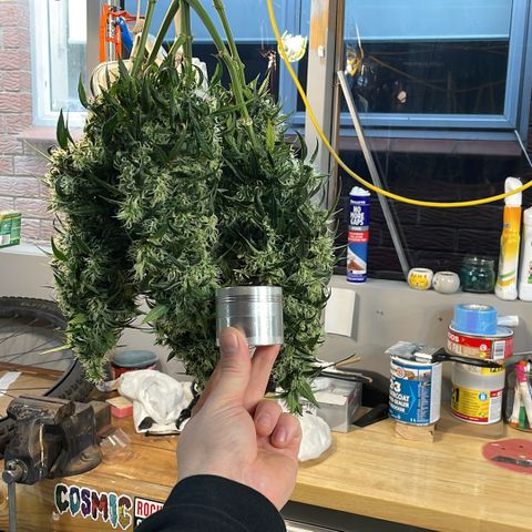 GG Auto Gen2 #1 growlog timeline photo