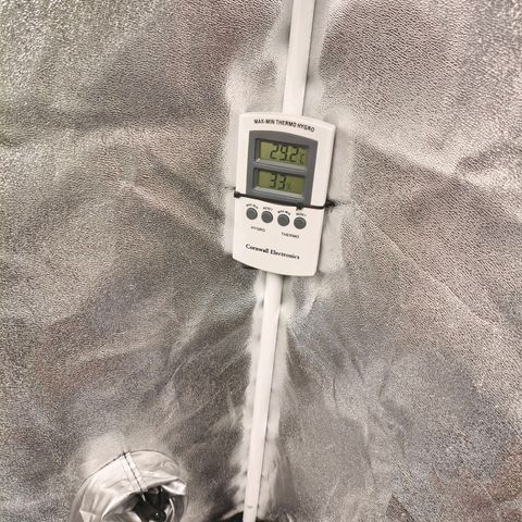 Amnesia Haze Automatic growlog timeline photo