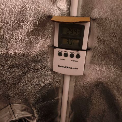 Amnesia Haze Automatic growlog photo: Retirada de domos comienzo con él humidificador ..lectura inicial del termohigrmoetro (humidificador de Amazon Segunda mano muy bueno) AROEVE Humidificador, 2,5L