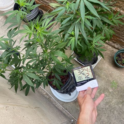 Kalie jane growlog timeline photo
