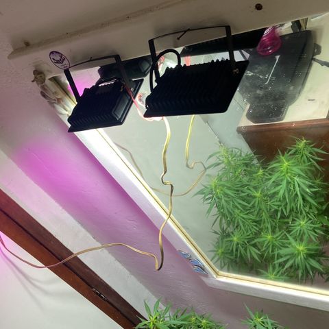 Kalie jane growlog timeline photo