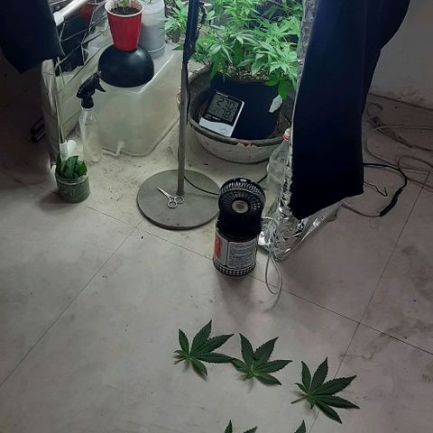 Slurricane growlog timeline photo