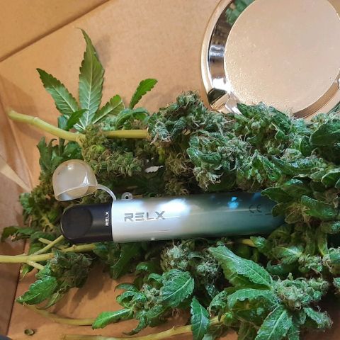 Slurricane growlog timeline photo