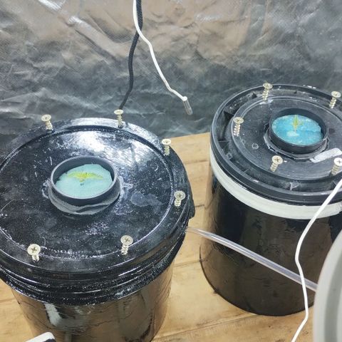 YC #2 growlog timeline photo
