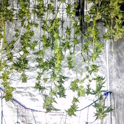 YC #2 growlog photo: Fin.