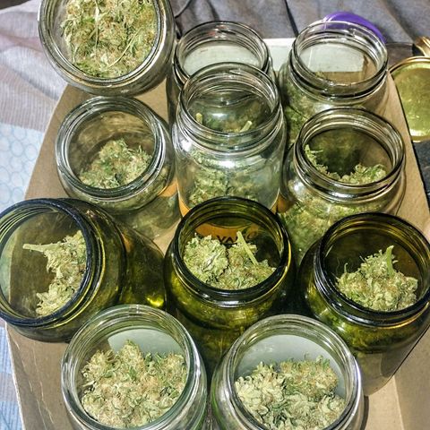 YC #2 growlog timeline photo