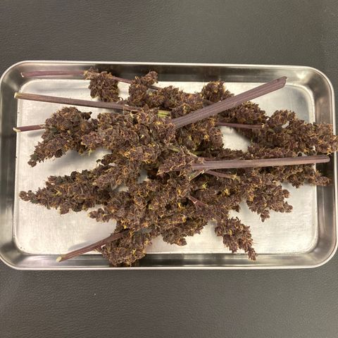 Mc Carol de Niterói - Red Kush Auto growlog timeline photo