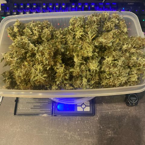 Peppa growlog timeline photo