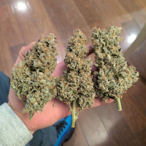 Double Grape growlog photo: After trim