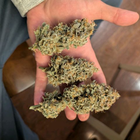 Double Grape growlog photo: After trim