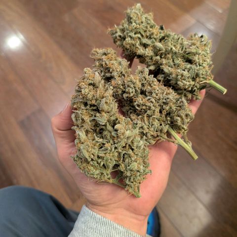 Double Grape growlog photo: After trim