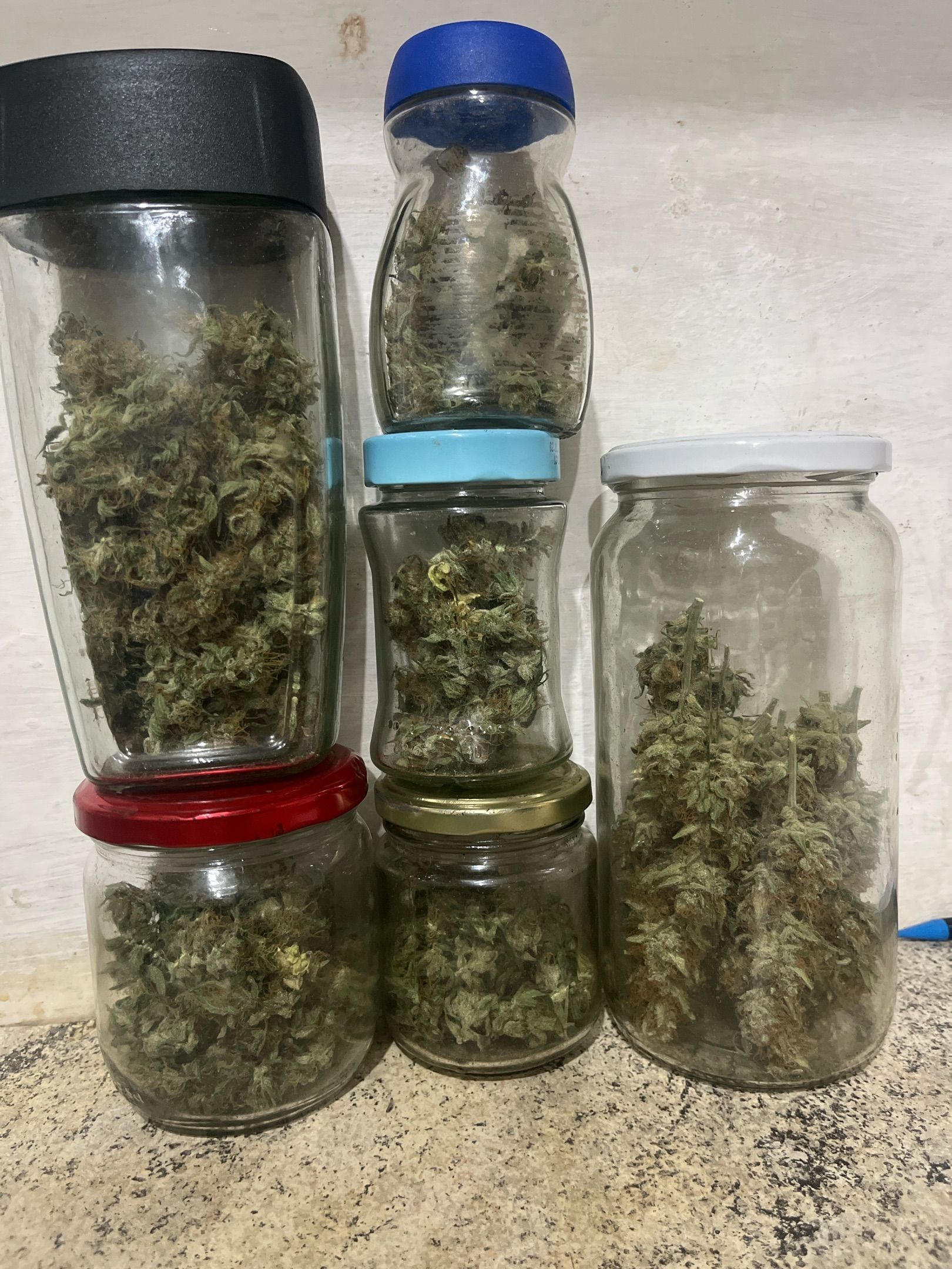 Auto Xtreme growlog header