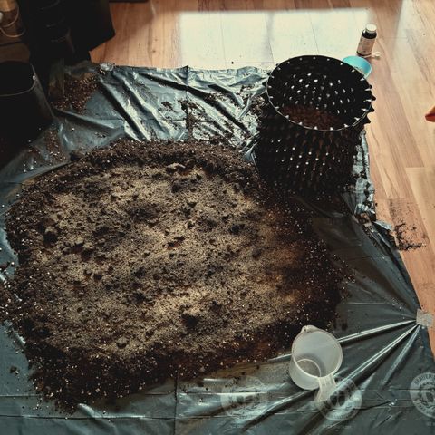 Red Hot Cookies growlog timeline photo