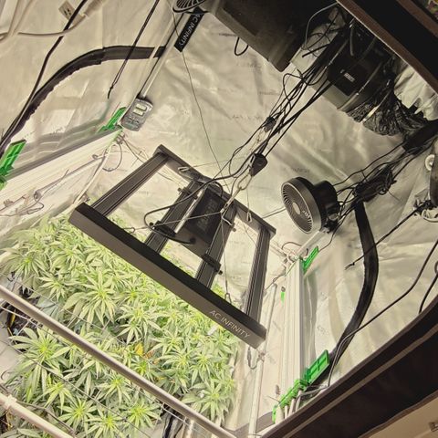 Red Hot Cookies growlog timeline photo