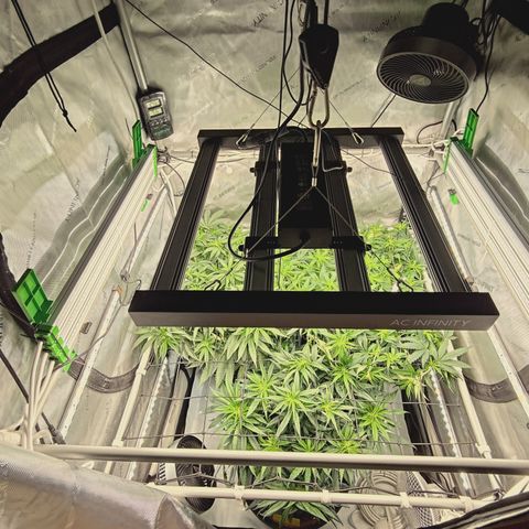 Red Hot Cookies growlog timeline photo