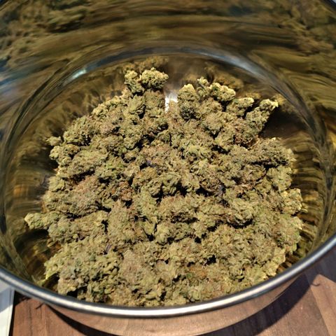 Blueberry Muffin  #3 growlog photo: 335g trocken 