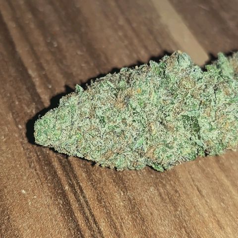 Blueberry Muffin  #3 growlog photo: 335g trocken 