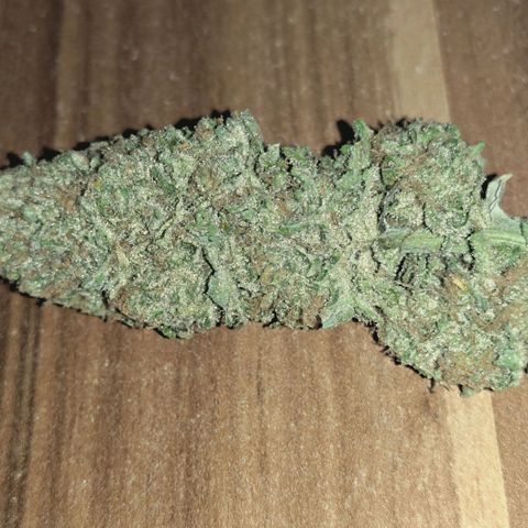 Blueberry Muffin  #3 growlog photo: 335g trocken 