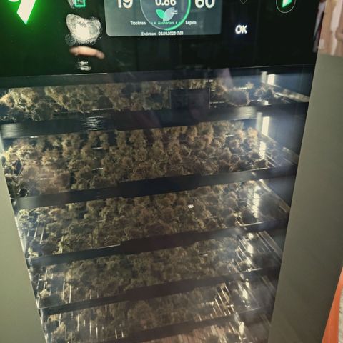 Hella Jelly #1 growlog timeline photo
