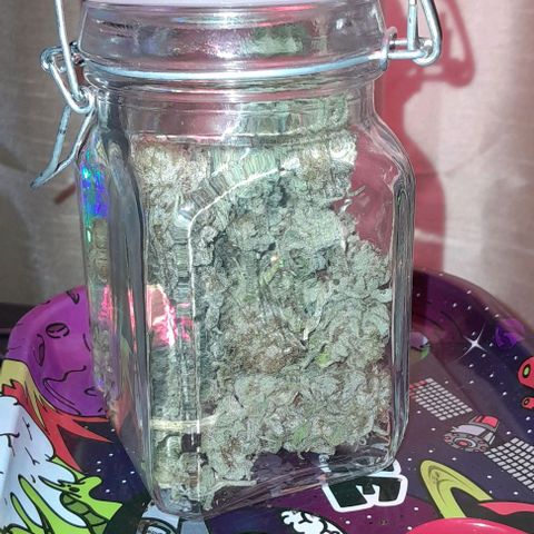 HulkBerry Fotoperíodo growlog photo: Total da plantinha rendeu 10G de flor seca. Estou aprendendo a cultivar no orgânico então a próxima com certeza terei melhores rendimentos.