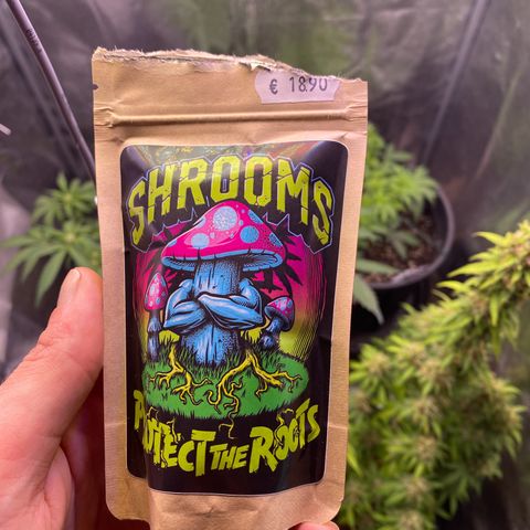 Lemon Cherry Cookies  growlog photo: Added these shrooms from Garten Eden today 1g/L of water every 4 weeks 