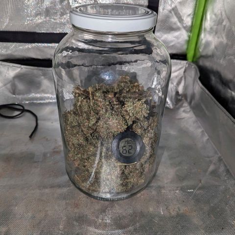 DGP growlog timeline photo