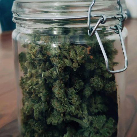 Easy Bud (Automatic) growlog timeline photo