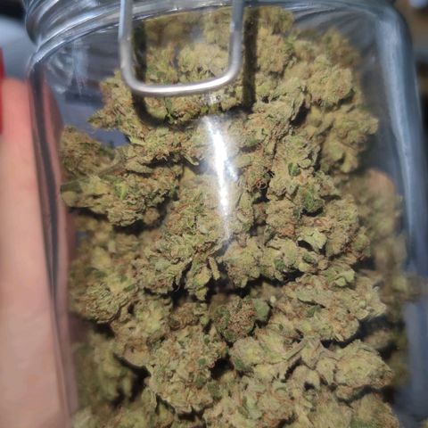 Easy Bud (Automatic) growlog timeline photo