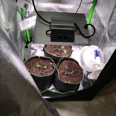 Bruce Banner (hinten links) growlog timeline photo