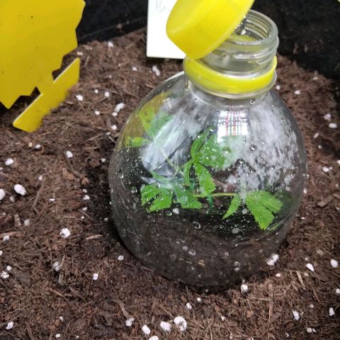 Bruce Banner (hinten links) growlog timeline photo