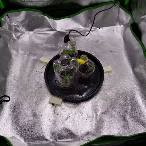 Bruce Banner (hinten links) growlog timeline photo
