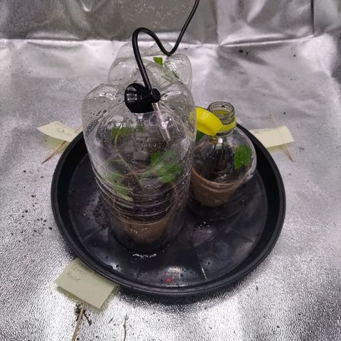 Bruce Banner (hinten links) growlog timeline photo