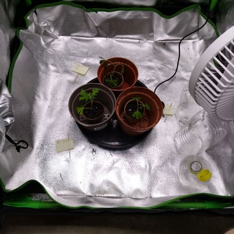 Bruce Banner (hinten links) growlog timeline photo