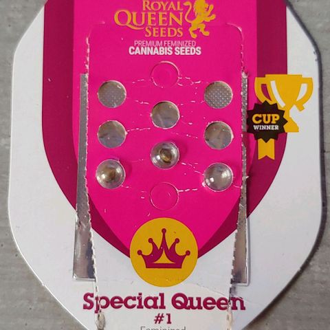 Special Queen #1 growlog timeline photo