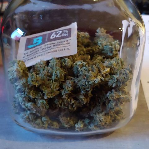 Northern Lights growlog photo: 34,98g
Für meinen ersten Grow bin ich sehr stolz!