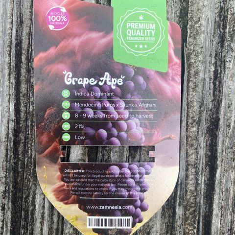 Grape Ape Auto F1 growlog timeline photo