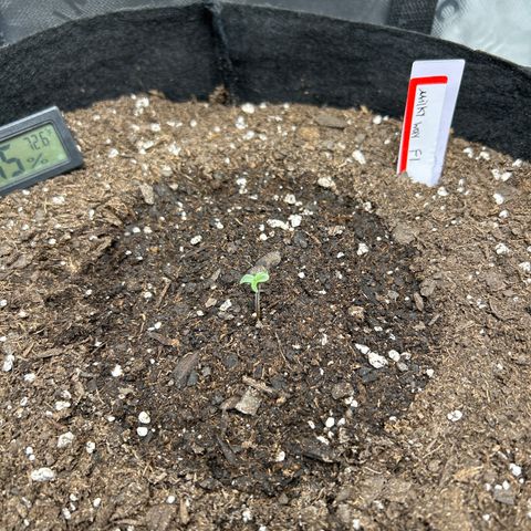 Milky Way growlog timeline photo