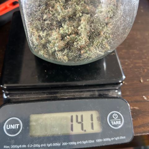 Quick One growlog timeline photo