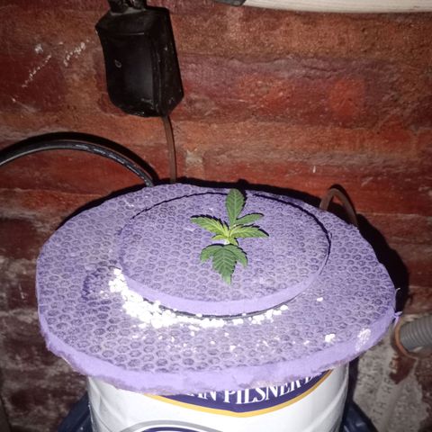 Jack growlog timeline photo