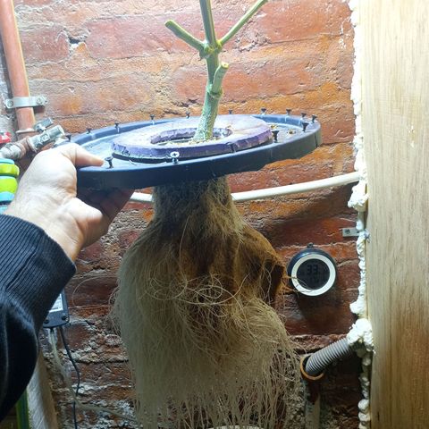 Jack growlog timeline photo