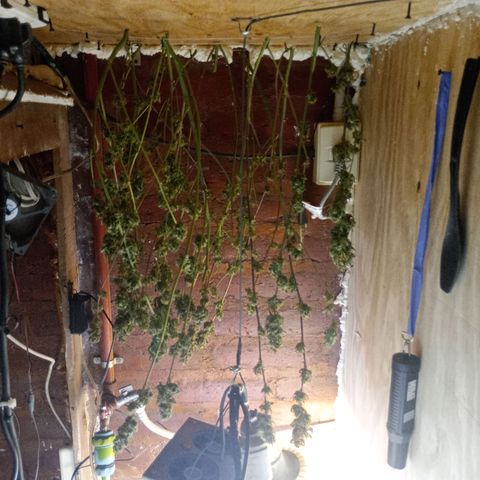 Jack growlog timeline photo