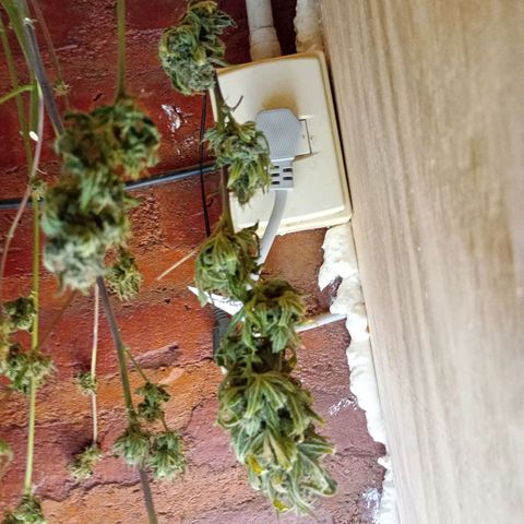 Jack growlog timeline photo