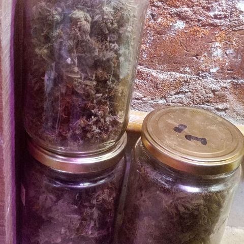 Jack growlog timeline photo