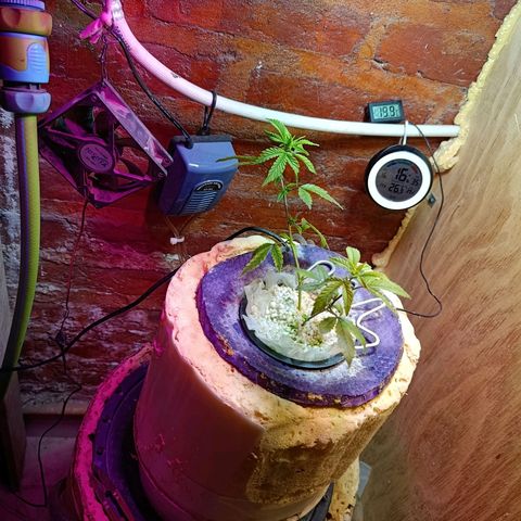 Satélite - clone factory growlog timeline photo