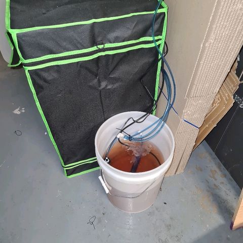 Snoop growlog timeline photo