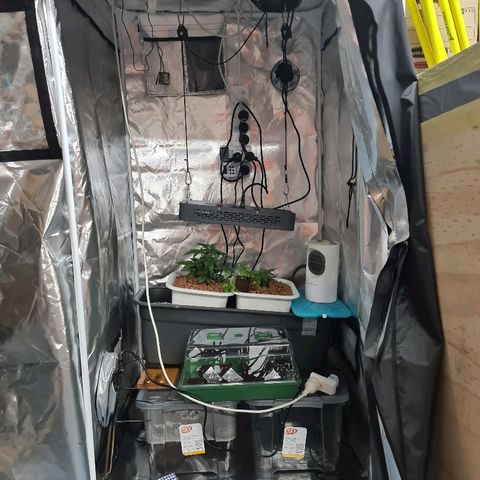 Snoop growlog timeline photo