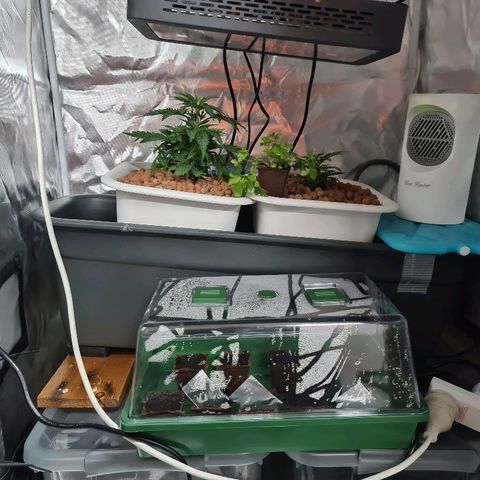 Snoop growlog timeline photo