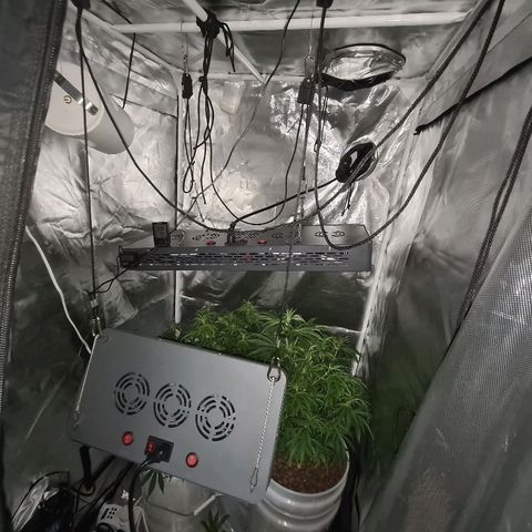 Snoop growlog timeline photo